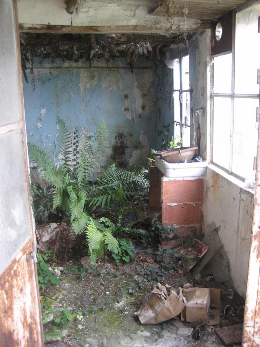 Figure 9 : Végétation à l’intérieur des logements